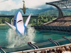 adorkable-bear:  memeguy-com:  Budget cuts  This was the original screen test but they couldn’t afford left shark so the had to resort to CGI 