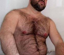 Hairy-Belly
