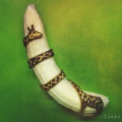 perfectlyscrumptious:  reincarnatedx:lustt-and-luxury:boredpanda:Artist Transforms Bananas Into Works Of Art so mind blowing to see how talented people are 😍  My new favorite thing is banana art  Artist is way too clever