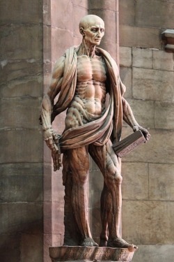 450 years before BodyWorlds was invented, there was St Bartholomew, an early Christian martyr who was skinned. If you look closely, you’ll see that’s not a robe, but actually his removed skin hanging around him. By Marco d’Agrate, 1562 (Duomo cathedral,