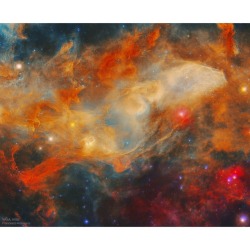 The Blue Horsehead Nebula in Infrared   Image Credit: WISE, IRSA, NASA; Processing &amp; Copyright : Francesco Antonucci  Explanation: The Blue Horsehead Nebula looks quite different in infrared light. In visible light, the reflecting dust of the nebula