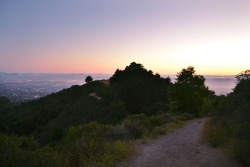 disimba:  disimba:  Shot from a trail I stumbled upon in Berkeley California overlooking Oakland to the left and San Francisco to the right. A beautiful place to be any time of the day.  I’m trying to hit this trail again while the flowers are in bloom.