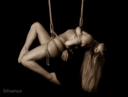 silvanusart: Suspension Virgin Tillie enjoys her first full rope suspensions.  Chest harness and hip harness.  Rope model