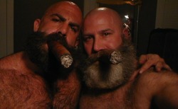 bearslikeus: Just look at yourself with that cigar in your mouth. You look almost as good as I do. Almost. Yeah. Just keep puffing away on it.   Thanks. I like your beard too. What?  Well of course you’ve always had a beard. You don’t remember?  