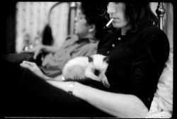 osuki:  A kitten with Roger Waters.