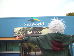 r-lowen:  Here we are at SeaWorld! 