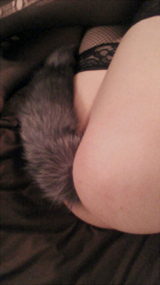 mulatto-bitch:  This tail makes my ass look lovely. I just need a collar, ears, and an owner. &lt;3