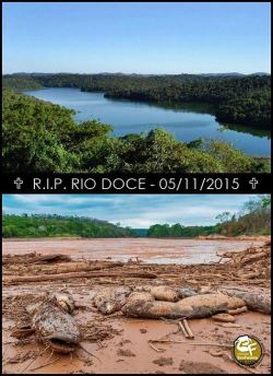 music-thestrongestformofmagic:  Brazilian river Rio Doce, most important river in the state of Minas Gerais, declared officially dead due to the dams burst in the city of Mariana.  The disaster that happened in the city of Mariana, in the state of Minas