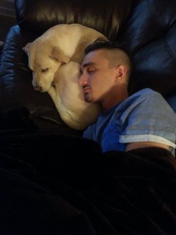 cute-overload:  Some blonde my brother’s sleeping with… (SFW)http://cute-overload.tumblr.com  Aww how it should be bless so cute