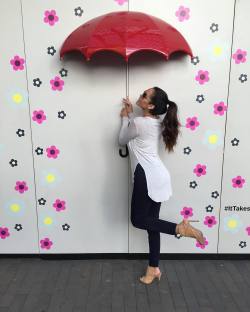 It&rsquo;s raining Daisies take cover 🌂 by 1daisymarie