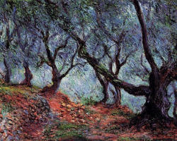 artist-monet:  Grove of Olive Trees in Bordighera, Claude Monet