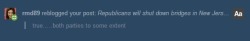odinsblog:  [from this post] OMG!!! WHAT IS IT WITH THIS???? No seriously, IDGI. Look, tumblr user rmd89 (and all the other anons suddenly blowin’ up my inbox) here are the FACTS: &ldquo;Both parties&rdquo; did not close down the busiest bridge in