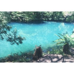 This was such an amazing day! Wish I was back there😻 #australia #blue #bluewater #clearwater #crystalclear #feels #happy #jenolancaves #nsw #nature #sun #vintage #water #gorgeous #amazing