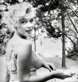summers-in-hollywood: Marilyn Monroe in Central Park, NY, 1957. Photo taken by Sam Shaw