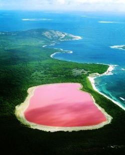 letswander-together:  Lake Hillier, Australia. The only naturally pink lake in the world. 