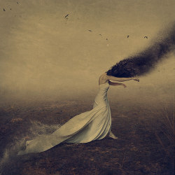 the shadows we follow by brookeshaden 