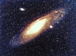 astronomyblog:    Andromeda galaxy from Palomar Observatory (source)