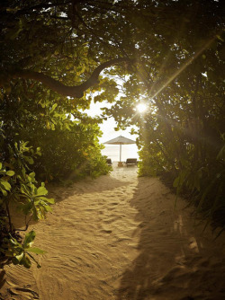 visitheworld:  The way to the beach, Park Hyatt, Maldives (by IDEE_PER_VIAGGIARE).