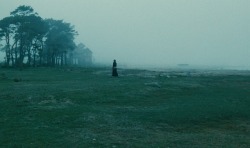 alleshater:The Sacrifice (1986) - by Andrei Tarkovsky