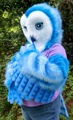 attack-of-the-furry-blog:  | Athena Owl Portrait | savageturtlestudios | Owned by: Nushaa | 