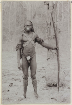 indavilla:  Papuans (Melanesia) : Marind tribe 