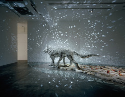 dawnawakened:Konoike Tomoko, “The Planet is Covered in Silvery Sleep” (2006)“Multi-discplinary artist Tomoko Konoike works with crystalline structures, whether drawing them with graphite or building them from broken mirrors and glass. The artist