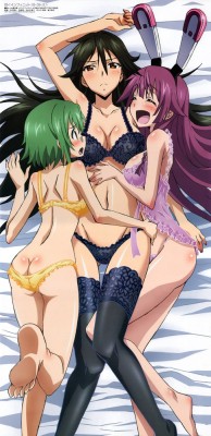 unlimited-sexxy-works:  Download my sexy Infinite Stratos hentai collection here: http://adf.ly/qEtcQ