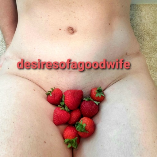 desiresofagoodwife2: