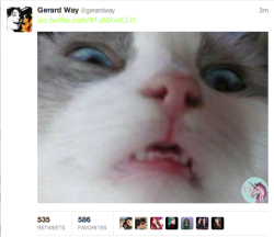 chubby-gerard:  vapidadolescentblues:  are we just not gonna talk about gerard way’s twitter  no 