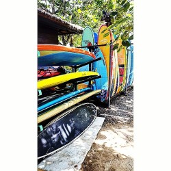 Немного цвета в ленту #bali #holiday #rest #nusadua#явраю (в Nusa Dua Bali Beach)