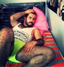 woofproject:  furrygoodness:  http://furrygoodness.tumblr.com/  http://woofproject.tumblr.com  Handsome, hairy, sexy looking man.  Would love to have those hairy legs wrapped around me anytime hmmmmm all the time.