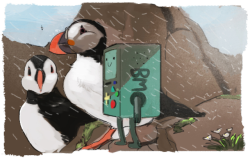 kateblueart: (What if) BMO’s adventure logs : want to stare at sea on rocky cliffs, meet friendly puffins. until the summer ends