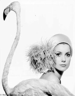 Catherine Deneuve photograph by David Bailey, 1967.