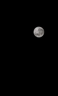 netimu:  Full Moon on the 25th May | jom.photography