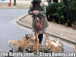 lol&hellip;.  Much more pleasant than a cat lady, I have to say.