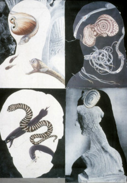 histocol:   Eileen Agar - “Marine collage” - 1939  