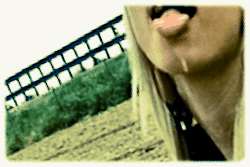 elywebmod:  Day 0045 : Elisa blowjob in public @ motorway side .. ;) .. Many car passing nearby .. ;) .. Well done Ely ;) … Great GIF edirion .. √√√√√ Great √√√√√