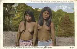 the-two-germanys:  The pick of the chief’s harem, Darien Indians, Rep. of Panama.Postcard, Canal Zone. 1920s.