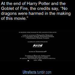 andreaweasley: ultrafacts:  1017sosa300:  ultrafacts:  ayyyziam:  lasimms:  ultrafacts:  Source More Ultrafacts  Oh thank God  at the end of Monsters Inc it says that no monsters were harmed either      and Guardians of the Galaxy:    And   Mr. Popper’s
