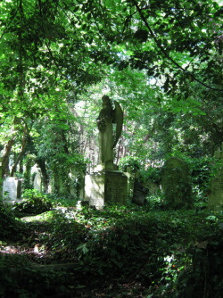 clavicle-moundshroud:  I want to visit Highgate Cemetery so badly that it causes me great physical distress when I think about how it will probably never happen. Photo Credit: http://www.reddit.com/user/redwebo☾♎☽