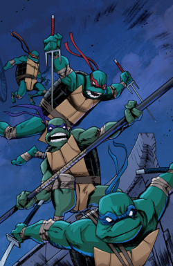 super-nerd:  Teenage Mutant Ninja Turtles by Dan Duncan 