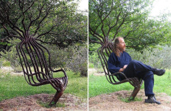 mentalblowjob:  a—psychedelic—mess:   Artist Peter Cook, grew this living garden chair using tree shaping methods, primarily training a living tree through constricting the direction of branch growth. The chair took about eight years to grow.   This