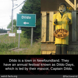mindblowingfactz:  Dildo is a town in Newfoundland. They have an annual festival known as Dildo Days, which is led by their mascot, Captain Dildo.