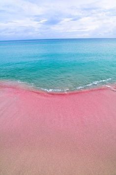 sixpenceee:Pink Beaches, Bermuda: The pink sand is the result of millions of tiny