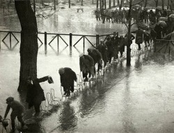 photos-de-france:  Henri Manuel - L’hippodrome Maison Laffitte inondé par la crue de la Seine, Paris, 1924.