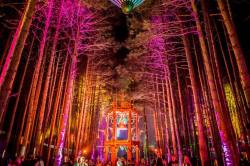 electronic-life:  Electric Forest 2014. 