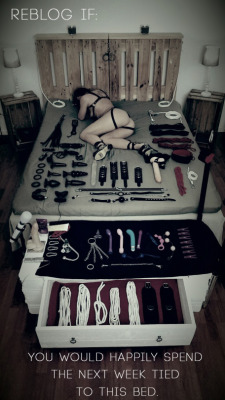 sissyslave0622:  kimbottm69:  Almost as many toys as I have and 2 weeks would be better!   Yes I would