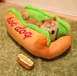 Hotdoggie!