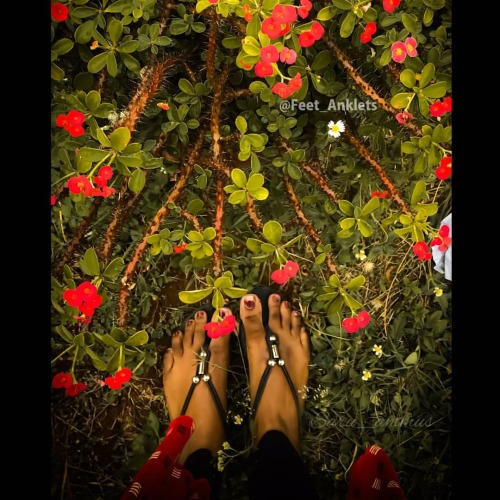feetanklets:  Morning Vibes 💖 . Click by @saru_ammus  . #photography #indianphotography #keralaphotography #kerala360 #keralavibes #kerala #keralites #mallufeet #malayalam #keralafeet #mallu #frame #flower #flowers #mobilephotography #mobileclicks