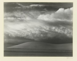 trulyvincent: Edward Weston American | 1886 - 1958 
